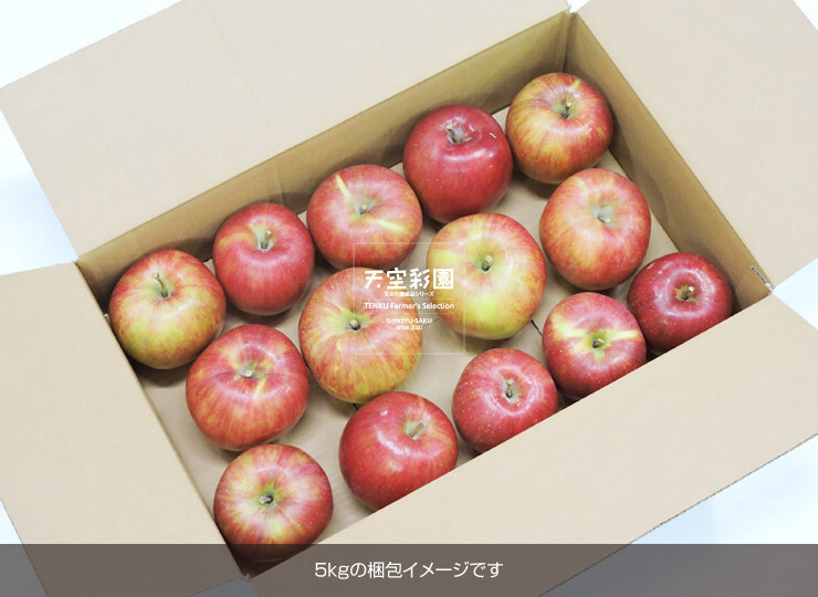 01SEIAPSD5-01