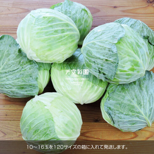 01SEICBCK15-01