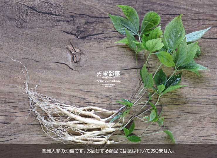01SEIOKN2F5-01