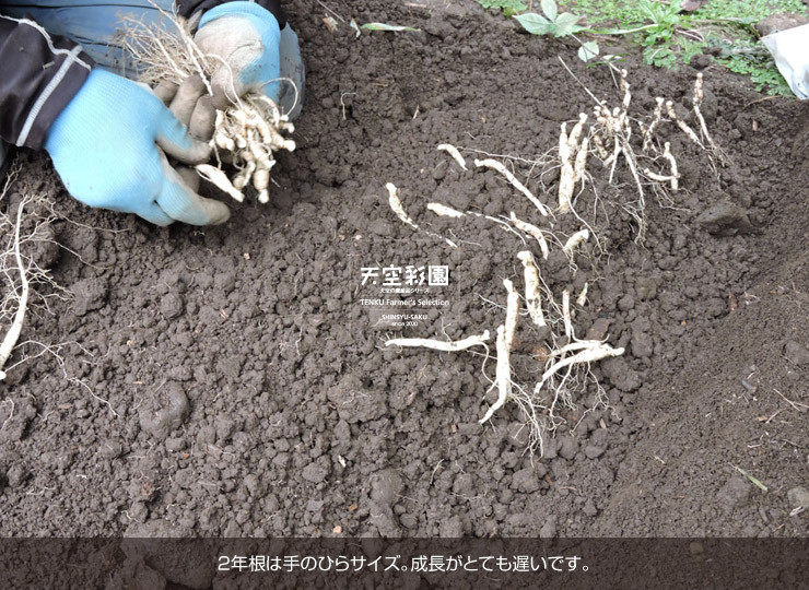 01SEIOKN2F5-01