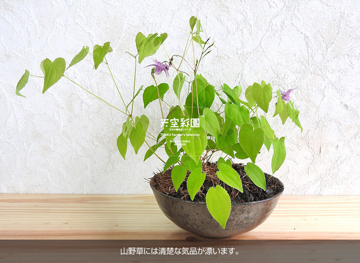 04FPSS358-01