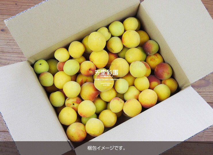 01SEIUMNK3P-01