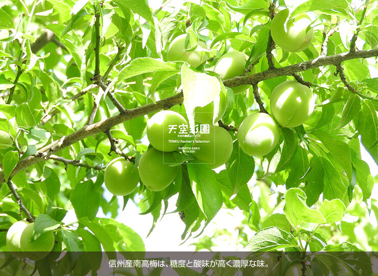 01SEIUMNK5B-01