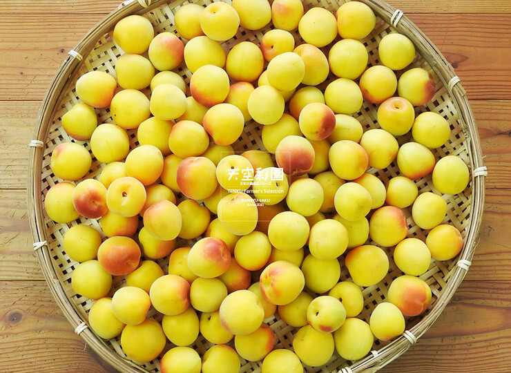 01SEIUMNK5P-01