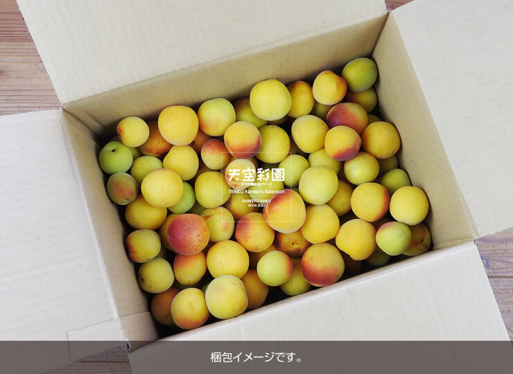 01SEIUMNK5P-01