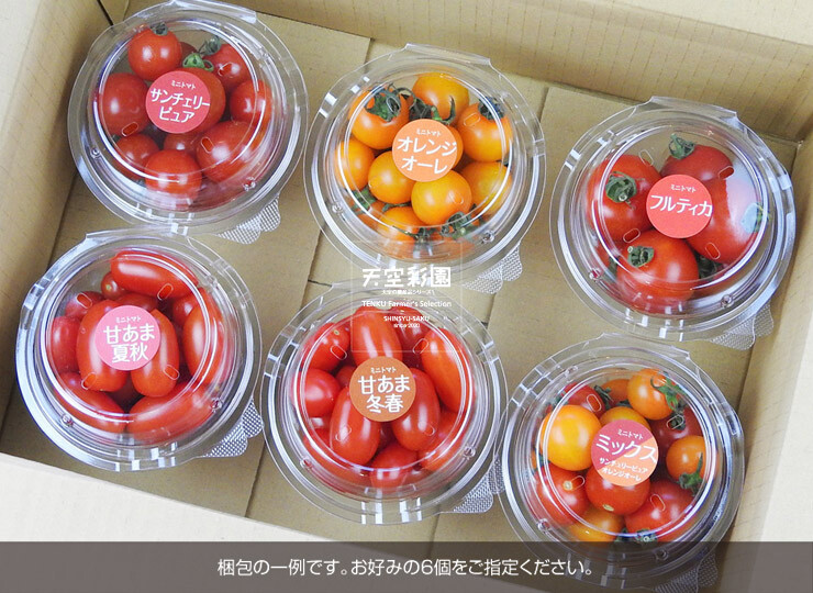 ふるさと納税 高松市 高松産季節の果物 ミニトマト 約2.7kg 最高品質の