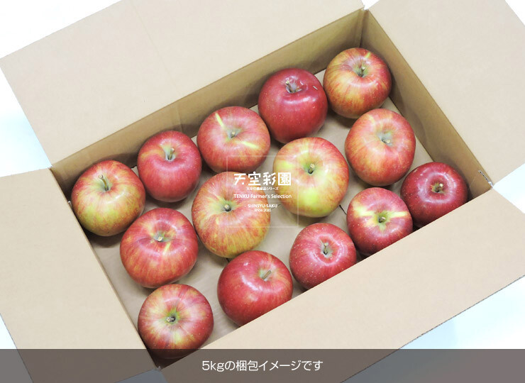 01SEIAPSS5-01