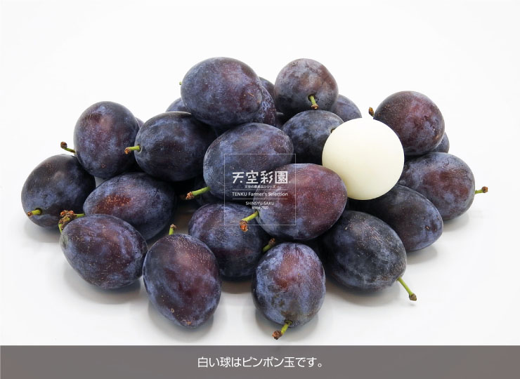 01SEIPRSP2-01