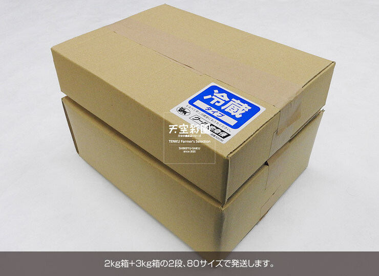 01SEIPRSPS5-01