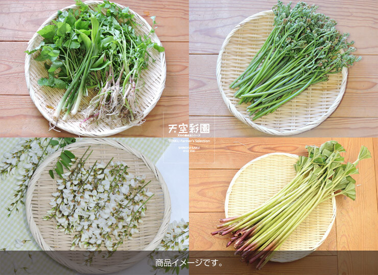 01SEISASET6-6E-01
