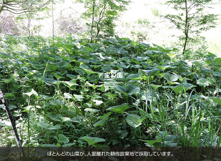 01SEISASET6-6E-01