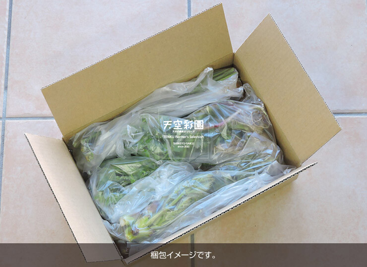 01SEISASET6-6E-01