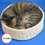 ゆづたん様　オーダーカゴ完成品 ゆふ様 オーダー サイズL かごバッグ Benny 通販 17172453｜Creema