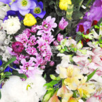 信州産　お花 04FPSSM8BS-01-150x150.jpg