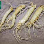 高麗人参 乾燥根 14本6年製 麗人参6年根 北海道産180粒 1粒に高麗人参6年根（紅参）200mg